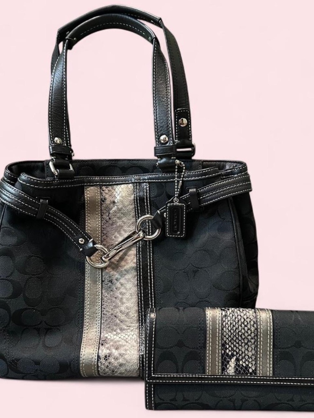 Black Signature Tote with Silver & Snake skin Accents